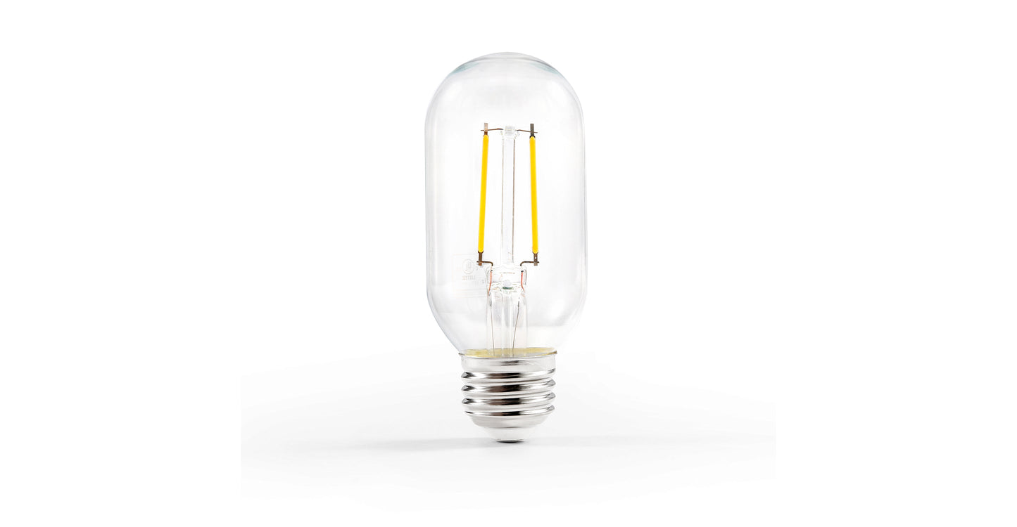 Lampadina a filamento LED trasparente Kashan T14