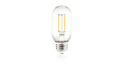 Lampadina a filamento LED trasparente Kashan T14
