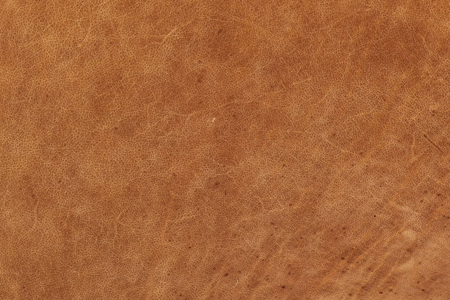 Divano in pelle Argan